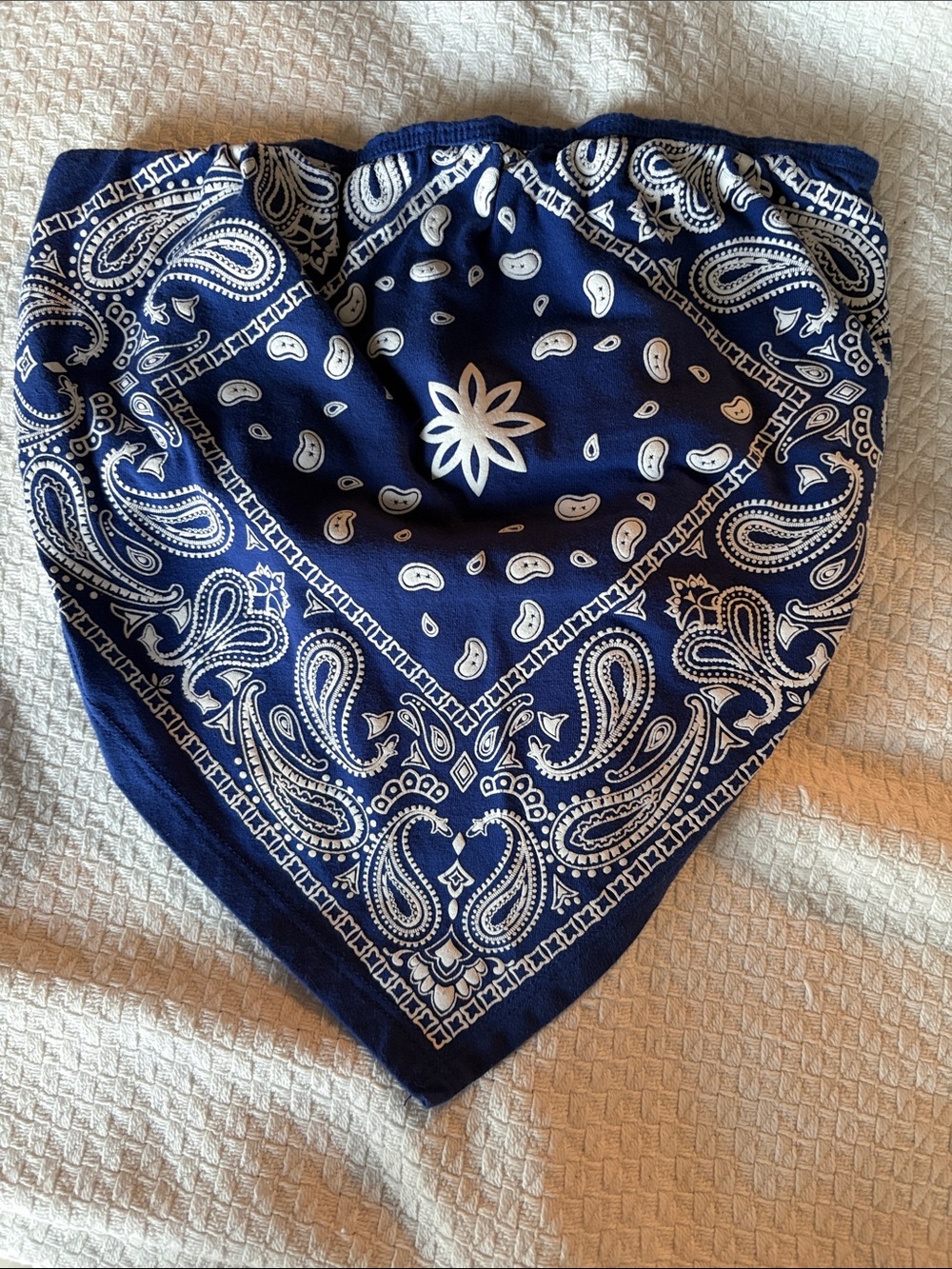 Navy Blue Paisley Bandana Bandeau Too